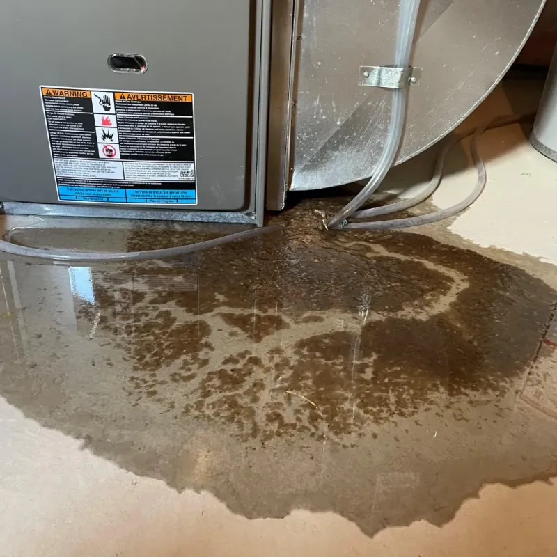 Appliance Leak Cleanup in Marion, KY