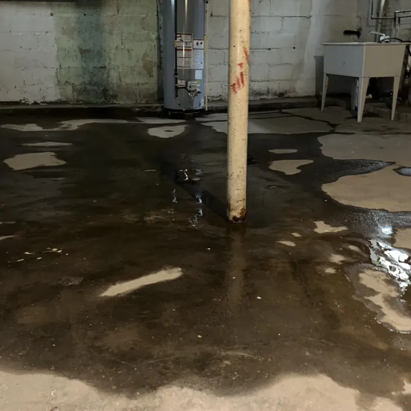 Emergency Water Extraction And Removal in Marion, KY